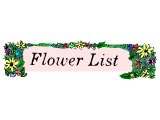 `Flower List` with flower surround